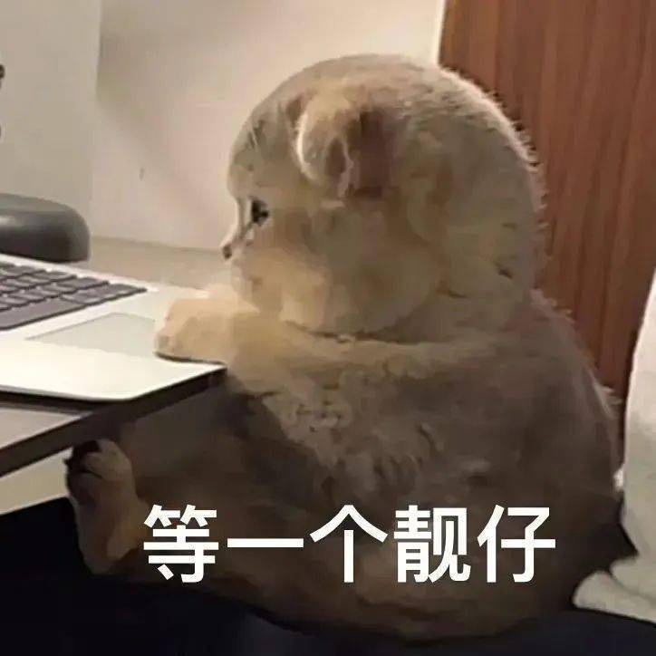 無(wú)線導(dǎo)游講解器